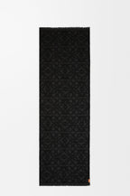 LOEWE Scarf in wool and silk | 罗意威 围巾 (多色)