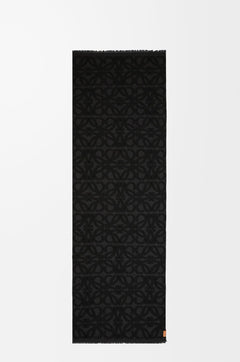 LOEWE Scarf in wool and silk | 罗意威 围巾 (多色)