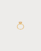 CELINE Triomphe Solitaire Sparkle Ring | 赛琳 戒指 (金色)