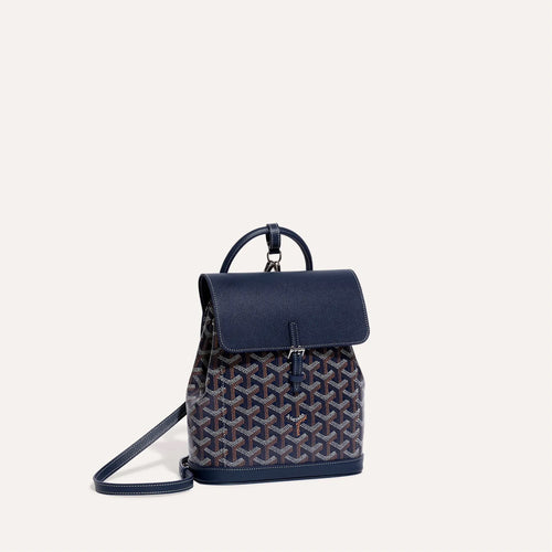GOYARD Alpin Mini Backpack | Goya backpack (multicolor)