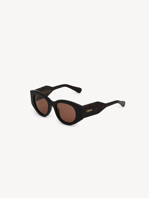 CHLOE Women's Gayia sunglasses | 蔻依 太陽眼鏡 (啡色)