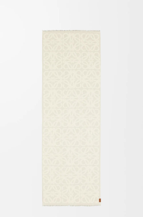 LOEWE Scarf in wool and silk | 罗意威 围巾 (多色)