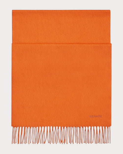 HERMES Men's Unie Brodee Muffler | 爱马仕 男仕颈巾 (多色) - LONDONKELLY 英国名牌代购